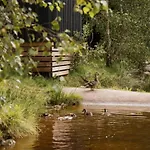 Confortable Avec Cuisine Equipee - Api-1-52-759 营地