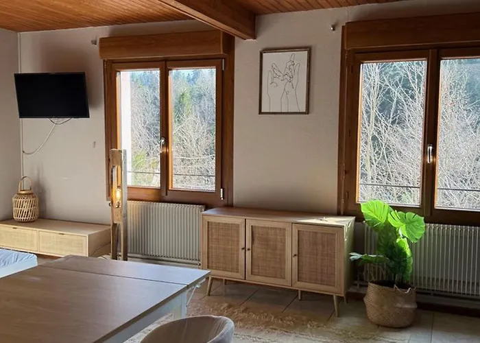 Confortable Avec Cuisine Equipee - Api-1-52-759 Kemp