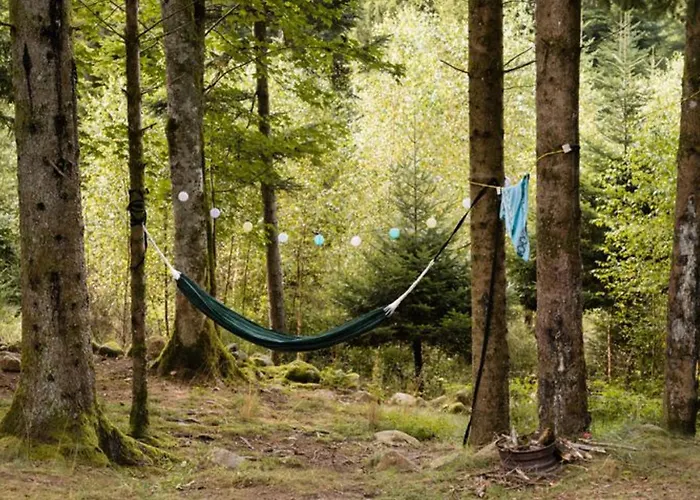 Campsite Confortable Avec Cuisine Equipee - Api-1-52-759