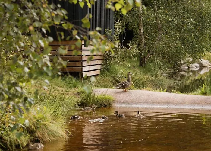 Confortable Avec Cuisine Equipee - Api-1-52-759 Campsite