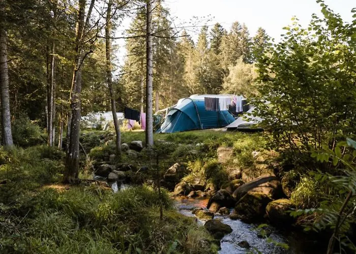 Confortable Avec Cuisine Equipee - Api-1-52-759 *